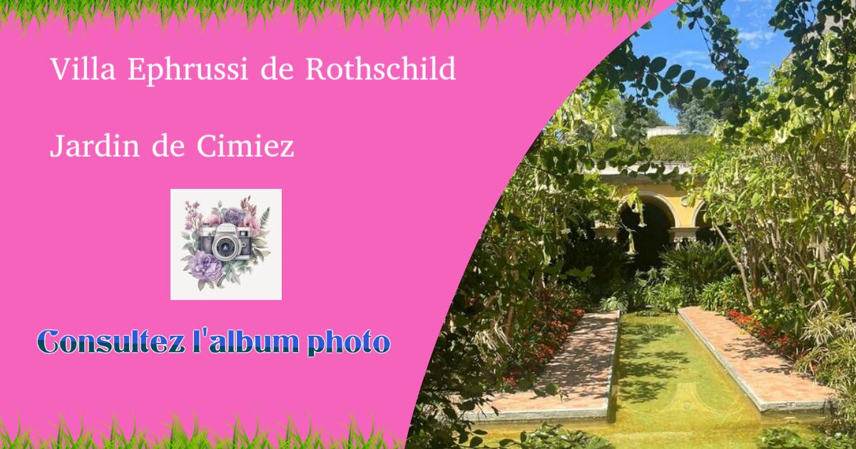 Consultez l'album