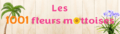 les1001fleursmottoises